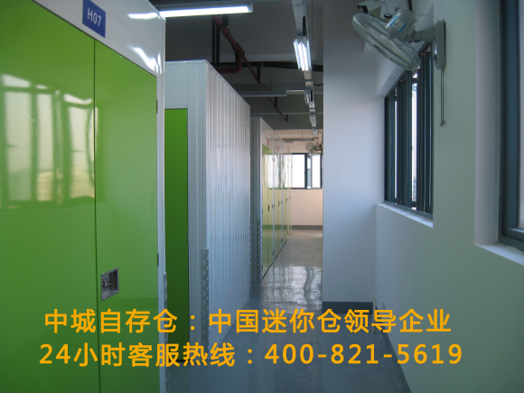 5ec87eff68771.jpg